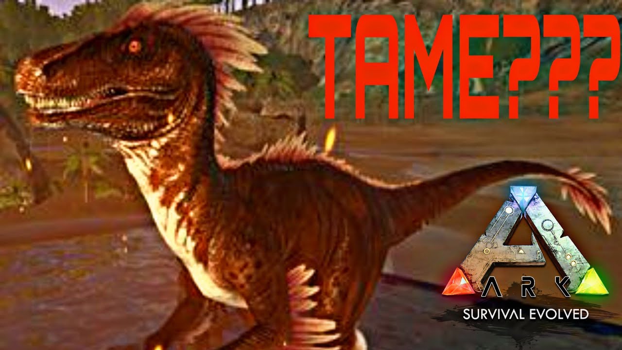 Can we tame Alpha Raptor? - Ark Mobile
