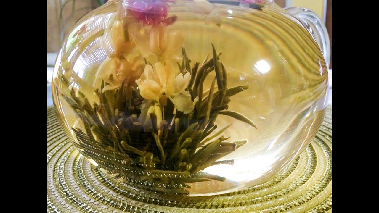 Beautiful Blooming Tea Flower Opening (Time-Lapse)