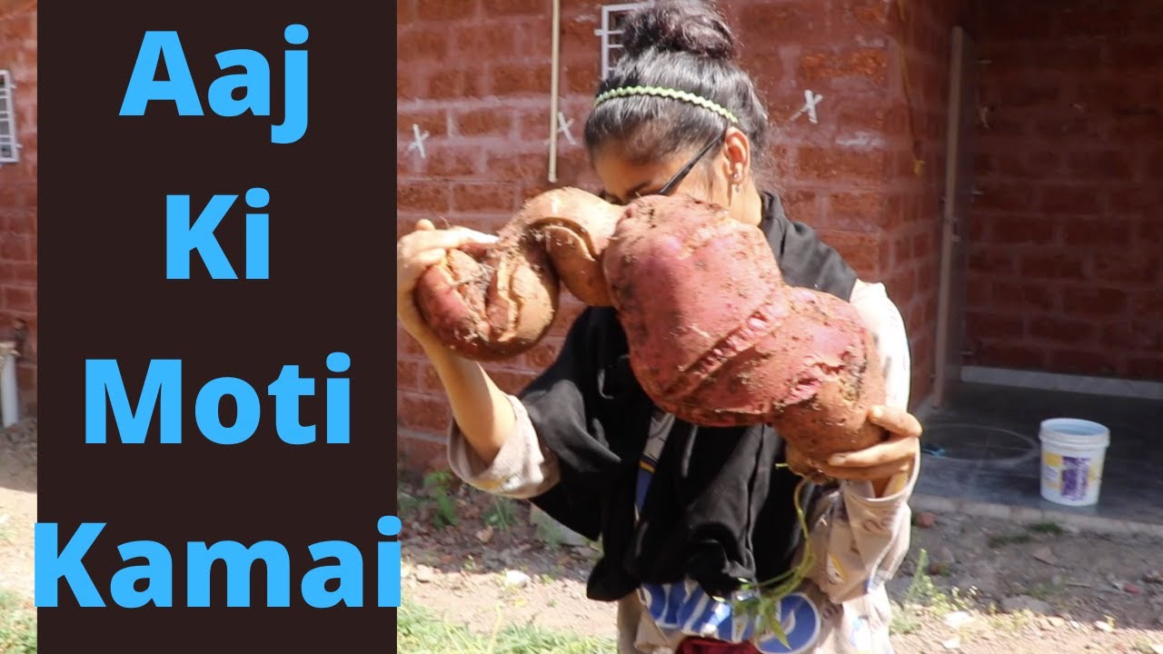 Aaj Moti Kamai Huyi || In Dono Ne To Naak Katwa Di || Potluck Party || RR VIDEOS