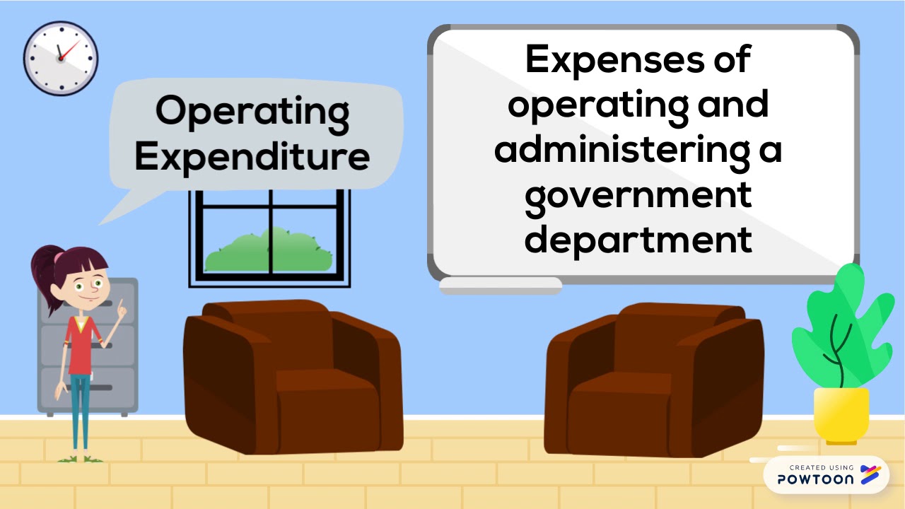 TYPES OF GOVERNMENT EXPENDITURE
