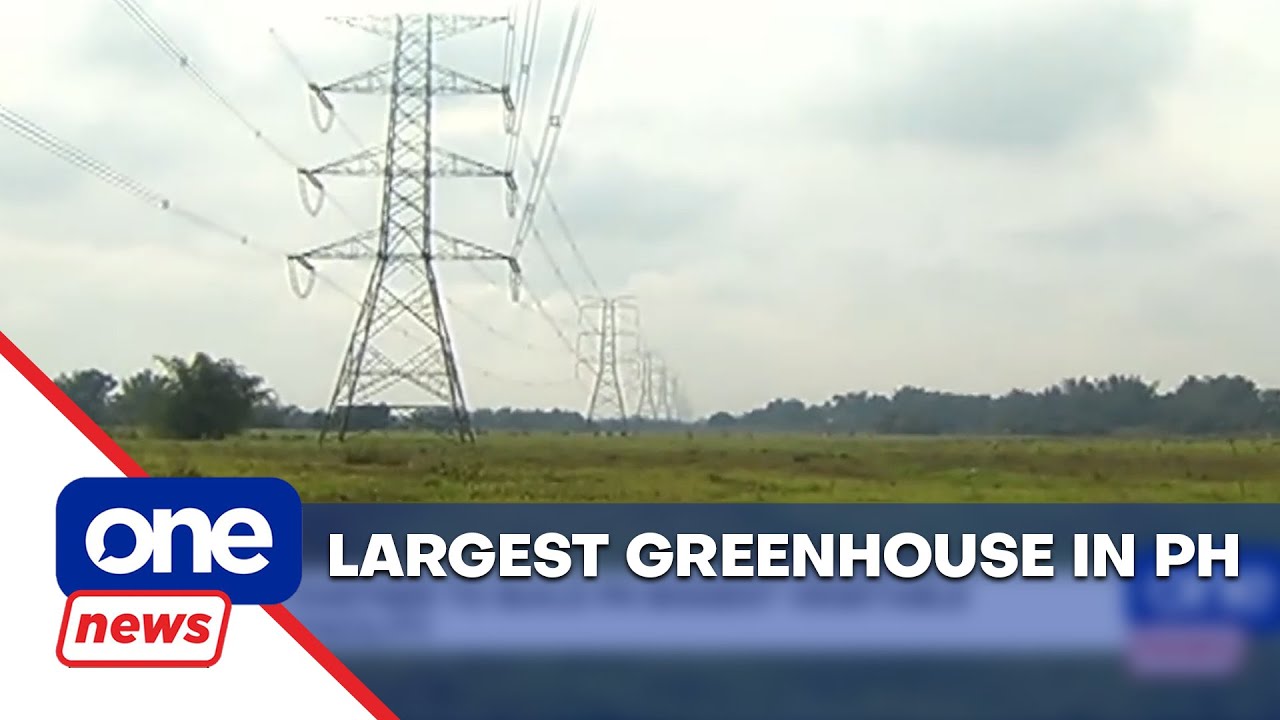 MVP group unveils plan to build largest greenhouse facility in PH