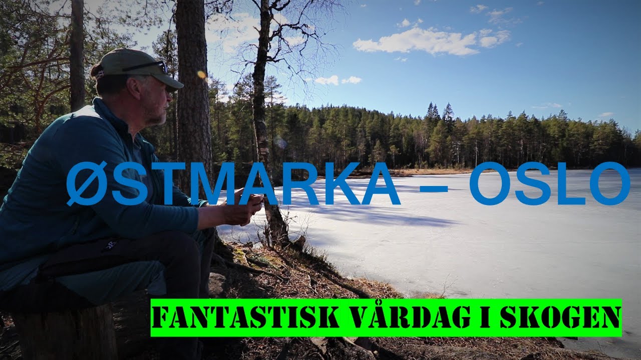 #Hiking Norway - Østmarka, Oslo-en fantastisk dagstur i våryr skog.