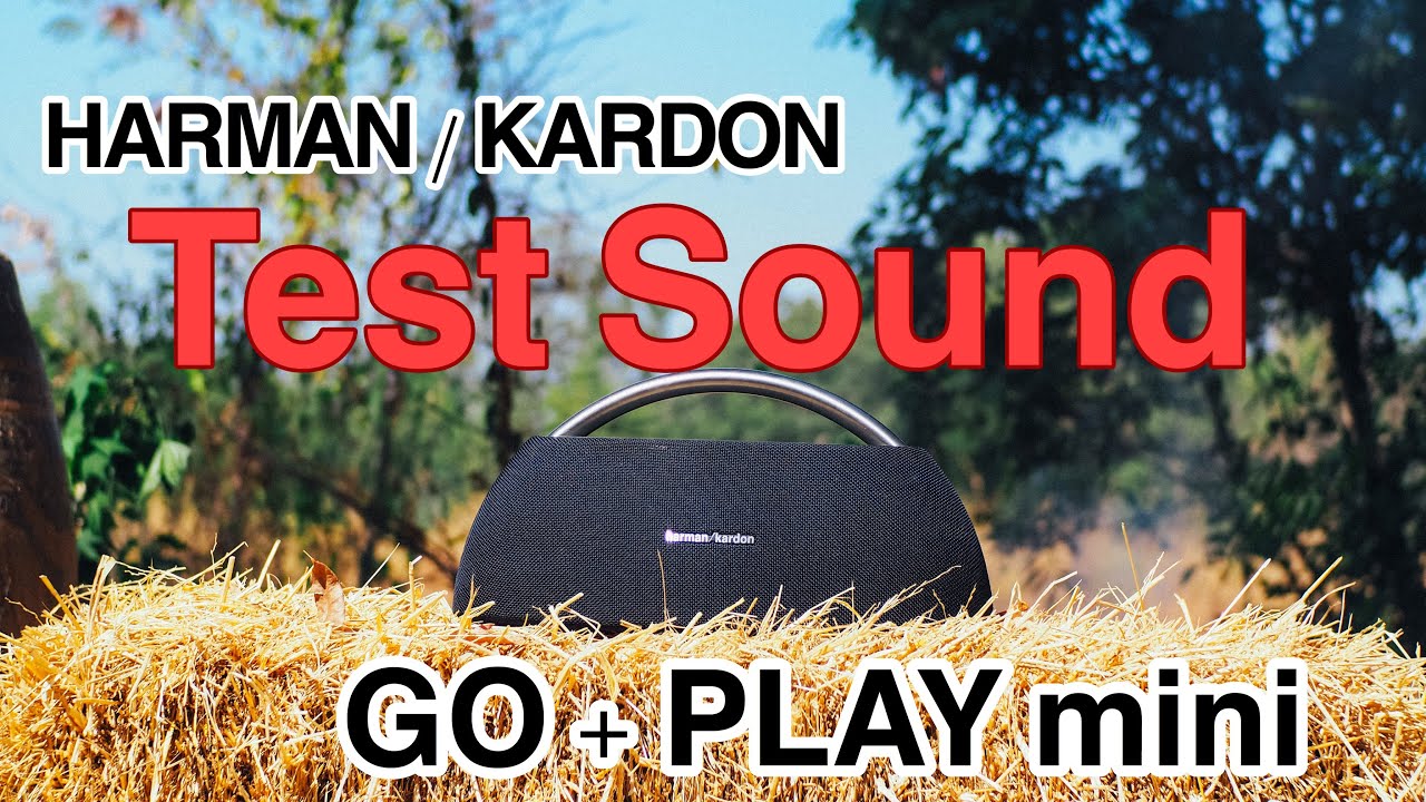 Harman/kardon Go+Play mini Review [Outdoor]