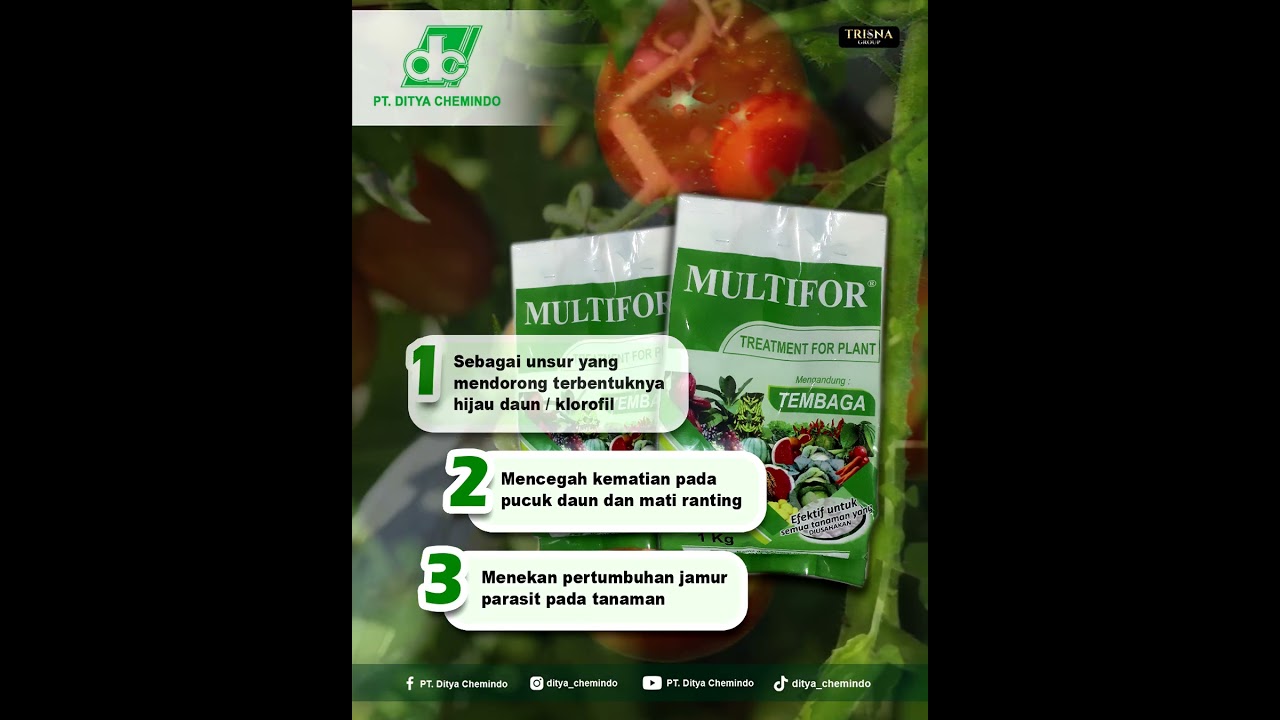 Tiga fungsi utama pupuk maintenance Multifor dari Ditya Chemindo