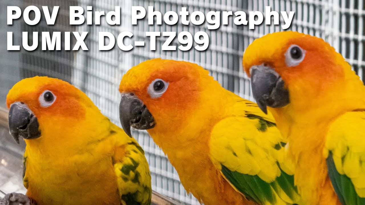 LUMIX DC-TZ99 / POV Bird Photography / Panasonic / 掛川花鳥園 / Japan