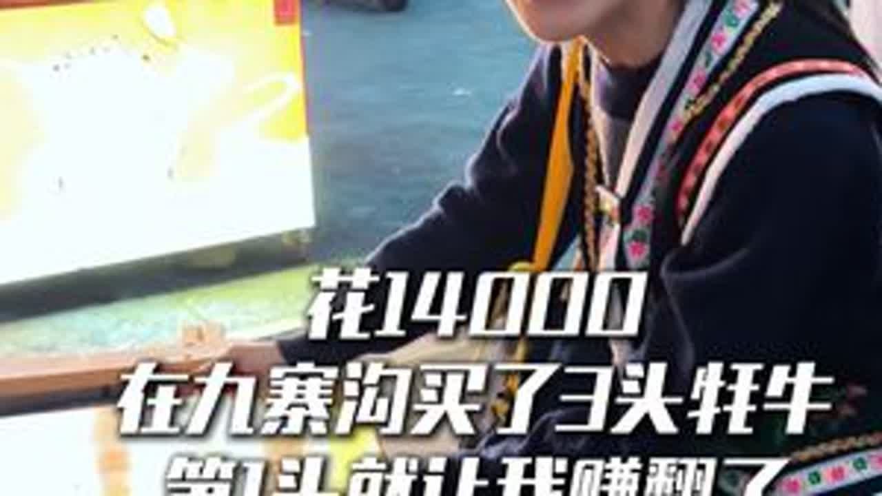 花14000在九寨沟买了3头牦牛 第1头就让我赚大了#新农人2025 #摆摊日记 #牦牛 #欢欢羌族姑娘 #乡村生活