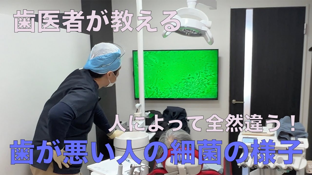 お口の中の細菌を見てみよう