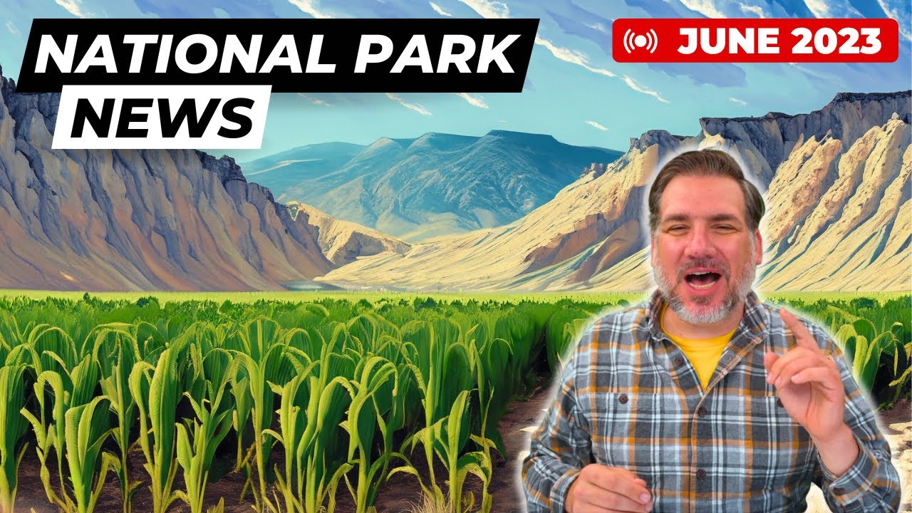 Pot Farms Keep Cropping Up In Death Valley National Park