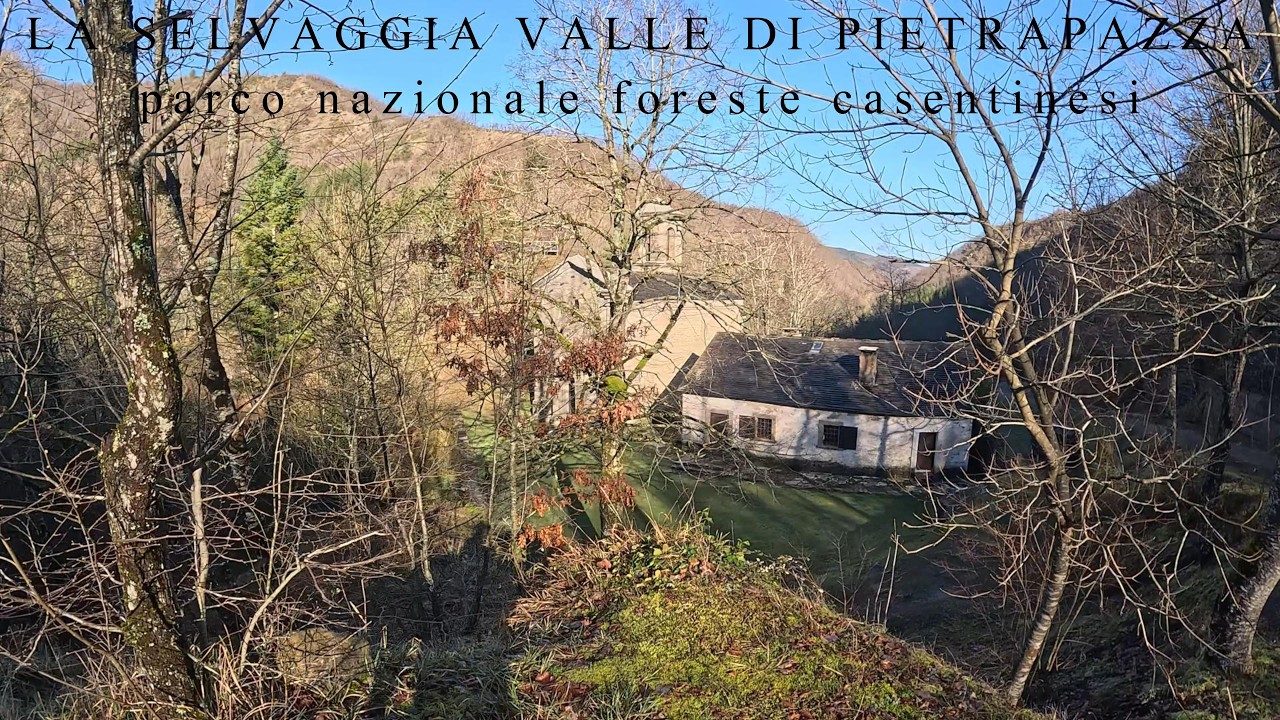 LA SELVAGGIA VALLE DI PIETRAPAZZA parco nazionale foreste casentinesi