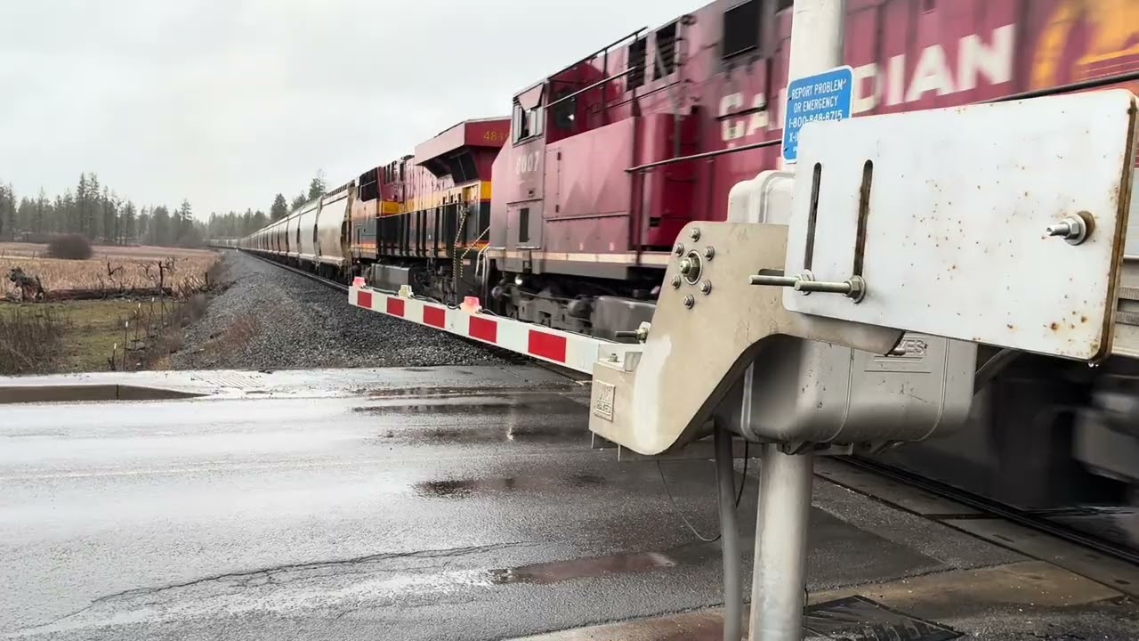 Trains in Westbound and Eastbound
