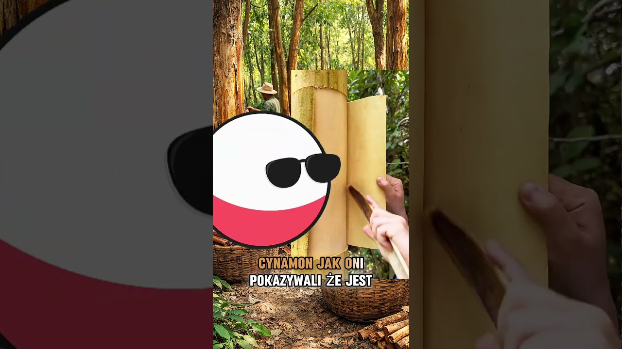 CZY NAPRAWDĘ CYNAMON ROBIONY JEST Z KORY DRZEW #viralshorts #fyp #fypシ゚ #trending #short #shorts
