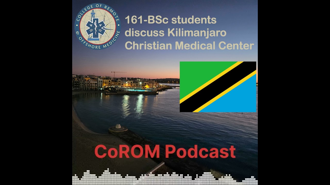 161-BSc students discuss KCMC