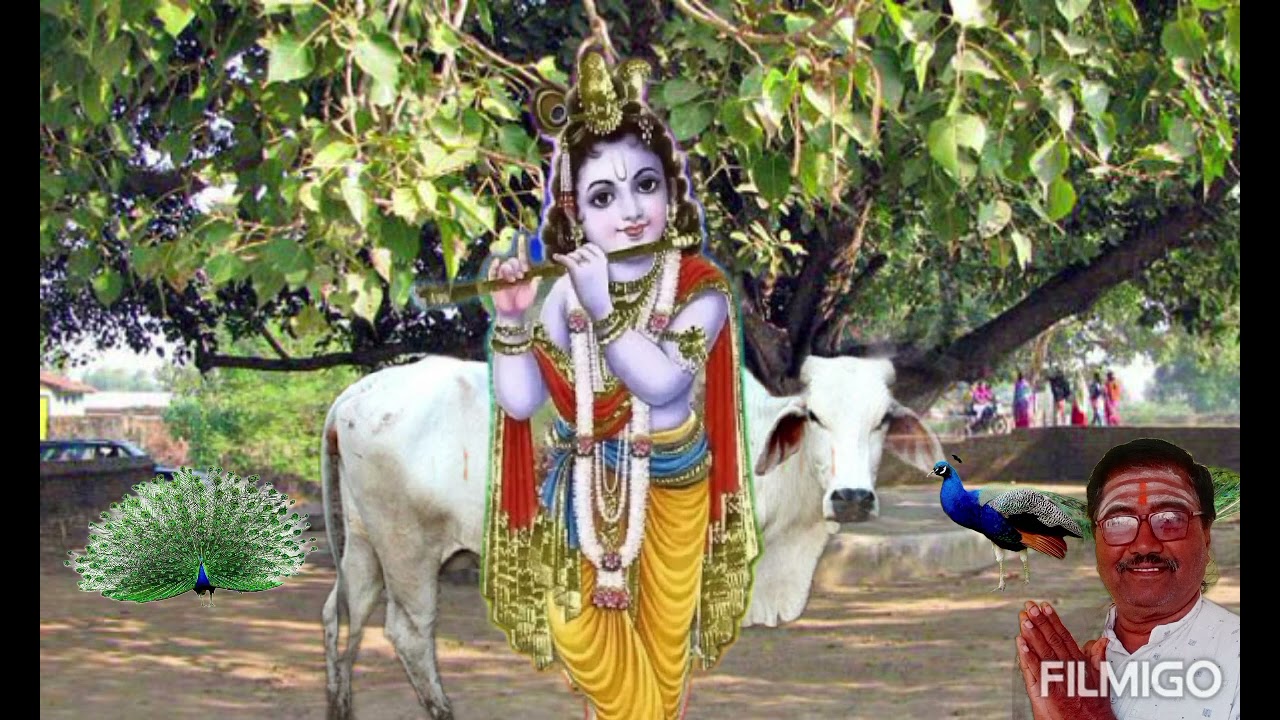 જાણો કનૈયા ના આવા લાડ કોને લડાવ્યા.......
