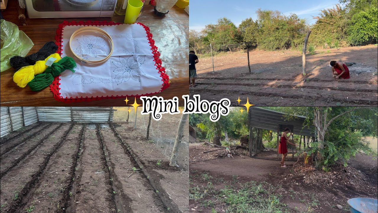 Se llegó el día 😱de trasplantar.!!el 🍅//haciendo limpieza 🧹 #minivlog #parati #familia #guerrero ￼