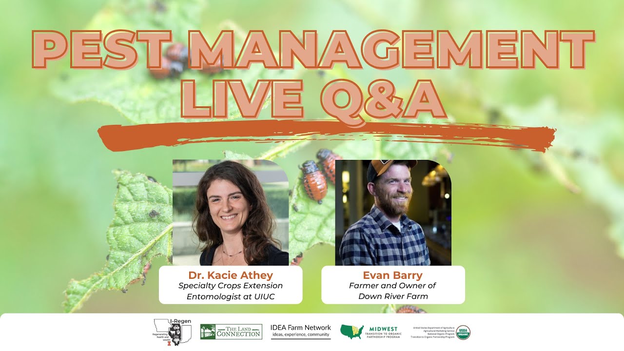 IFN Pest Management Live Q&A