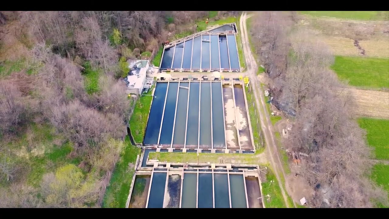 Vertoku - Film Dokumentar