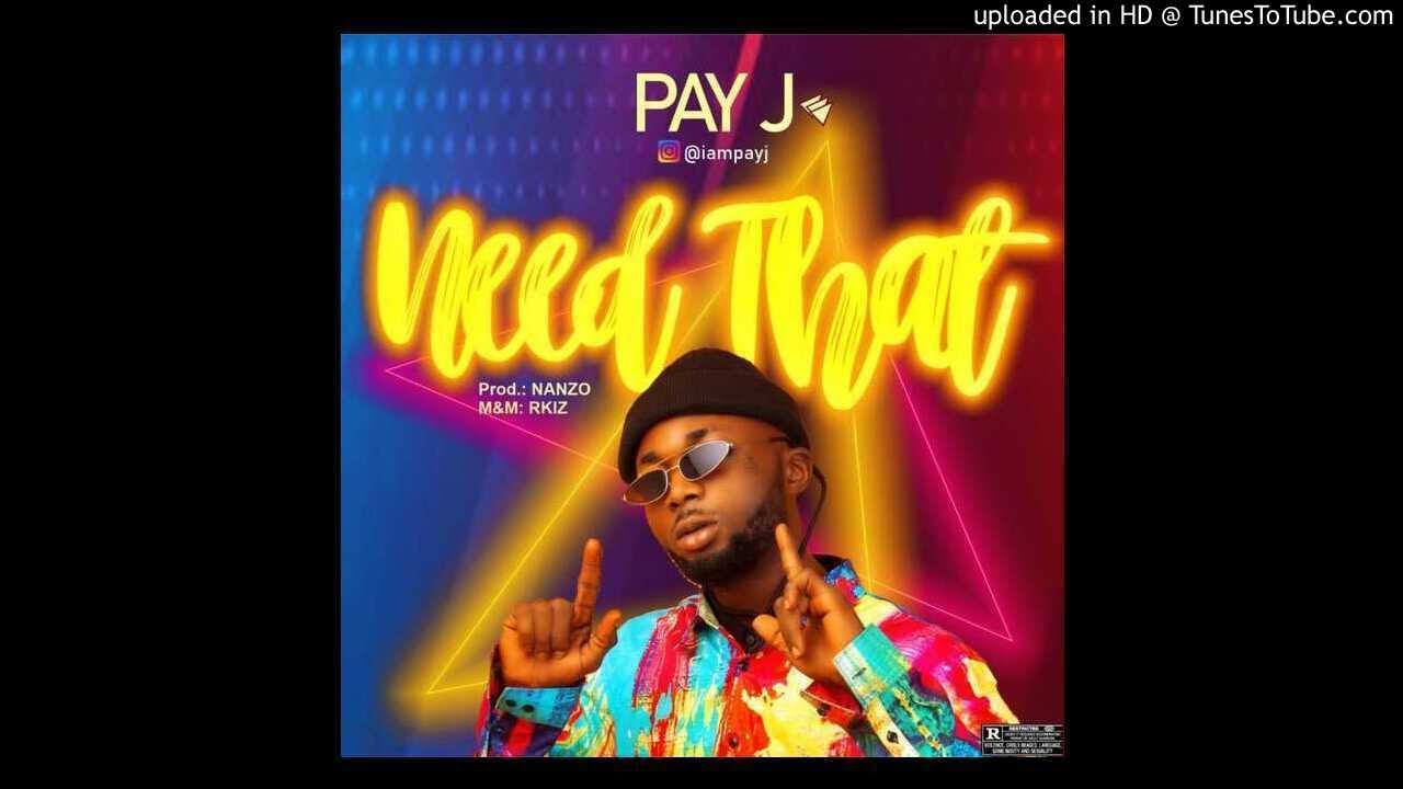 Pay J - Need That (OFFICIAL AUDIO)
