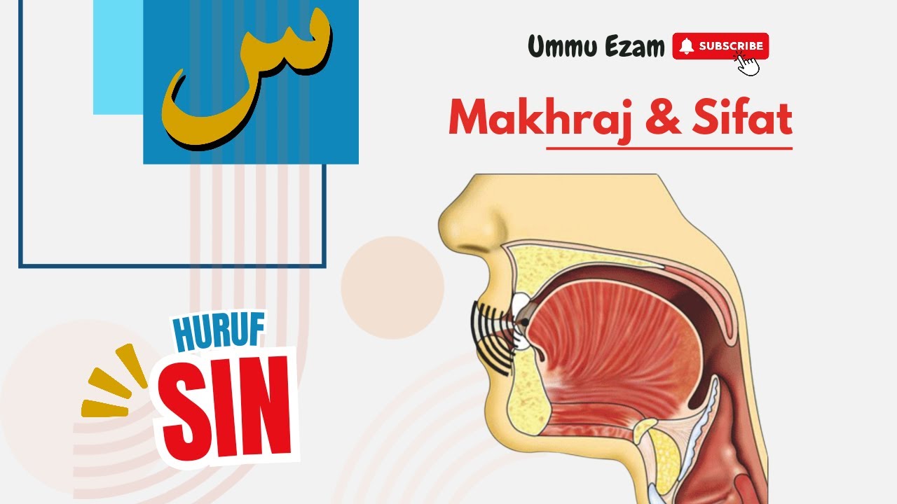 Makhraj Huruf Sin س | #belajartahsin
