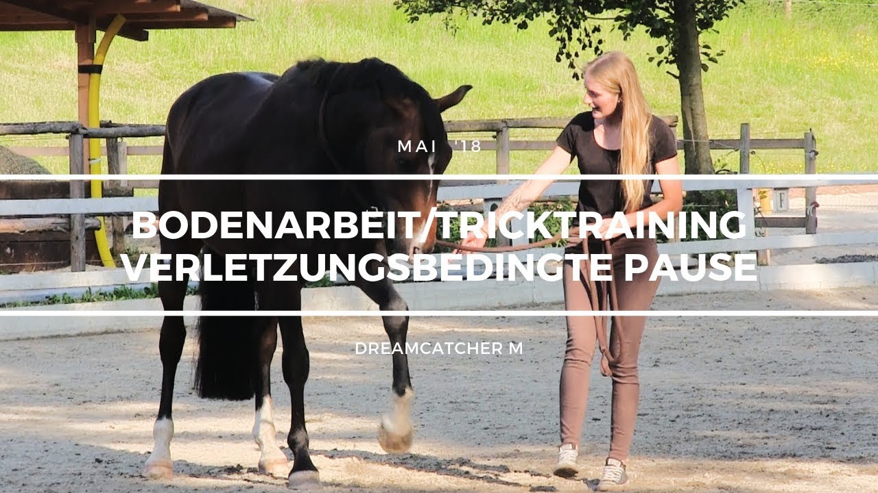 Bodenarbeit/Tricktraining | Verletzungsbedingte Pause |19.05.18