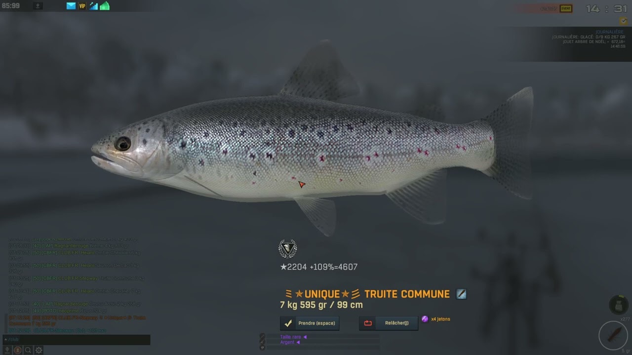 Fisher Online - Winter Fairy Tale 2025 - Truite commune (River Trout)