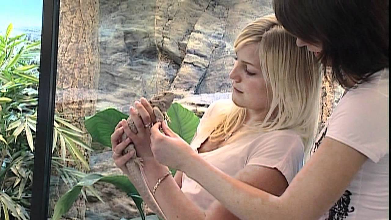 Djurv&aring;rd   Naturvetenskap - Himmelstalund