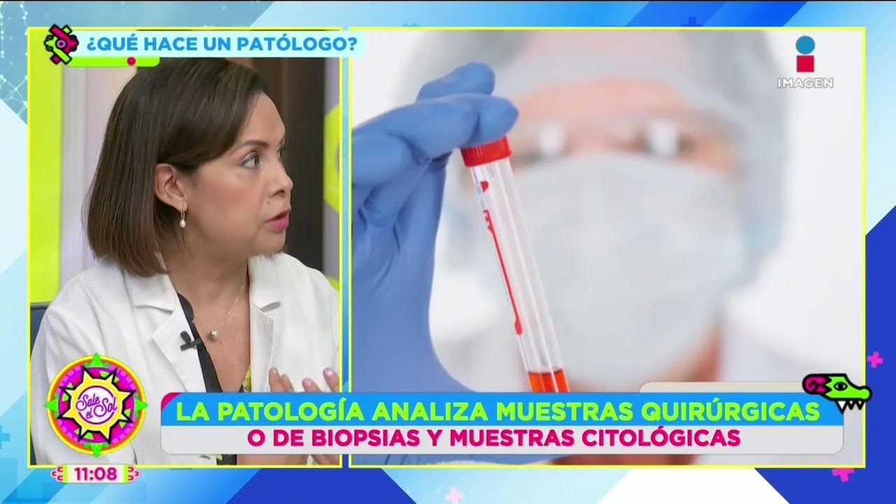 Patolog&iacute;a: Qu&eacute; estudia, especialidades, conceptos b&aacute;sicos y m&aacute;s | Visita de Doctor | Sale el Sol