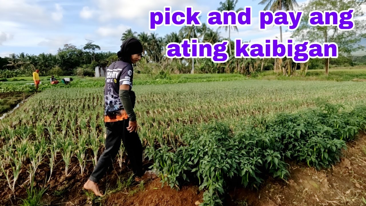PICK and pay ang ating kaibigan