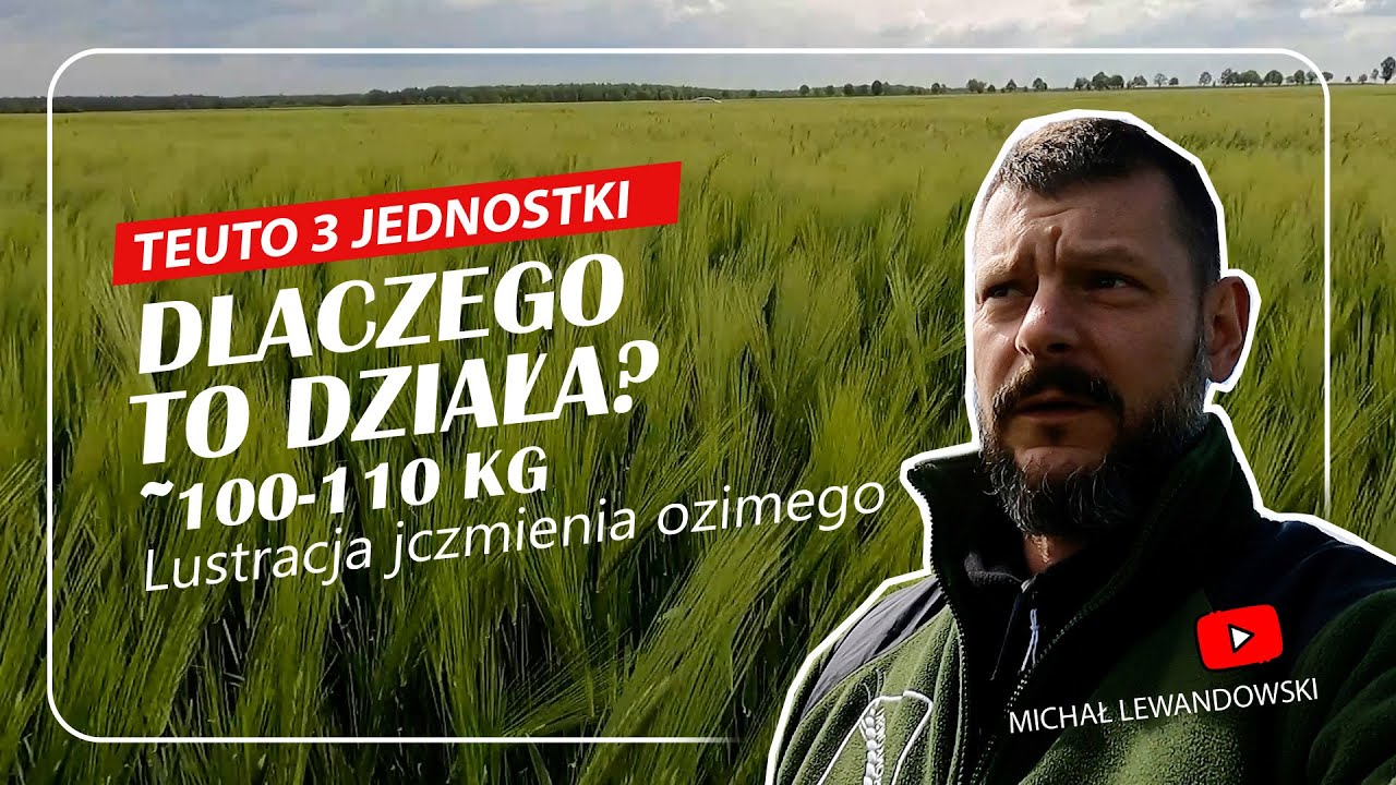 Zagęszczenie łanu jęczmienia – kiedy mniej znaczy więcej? Jęczmień w jednostkach siewnych.