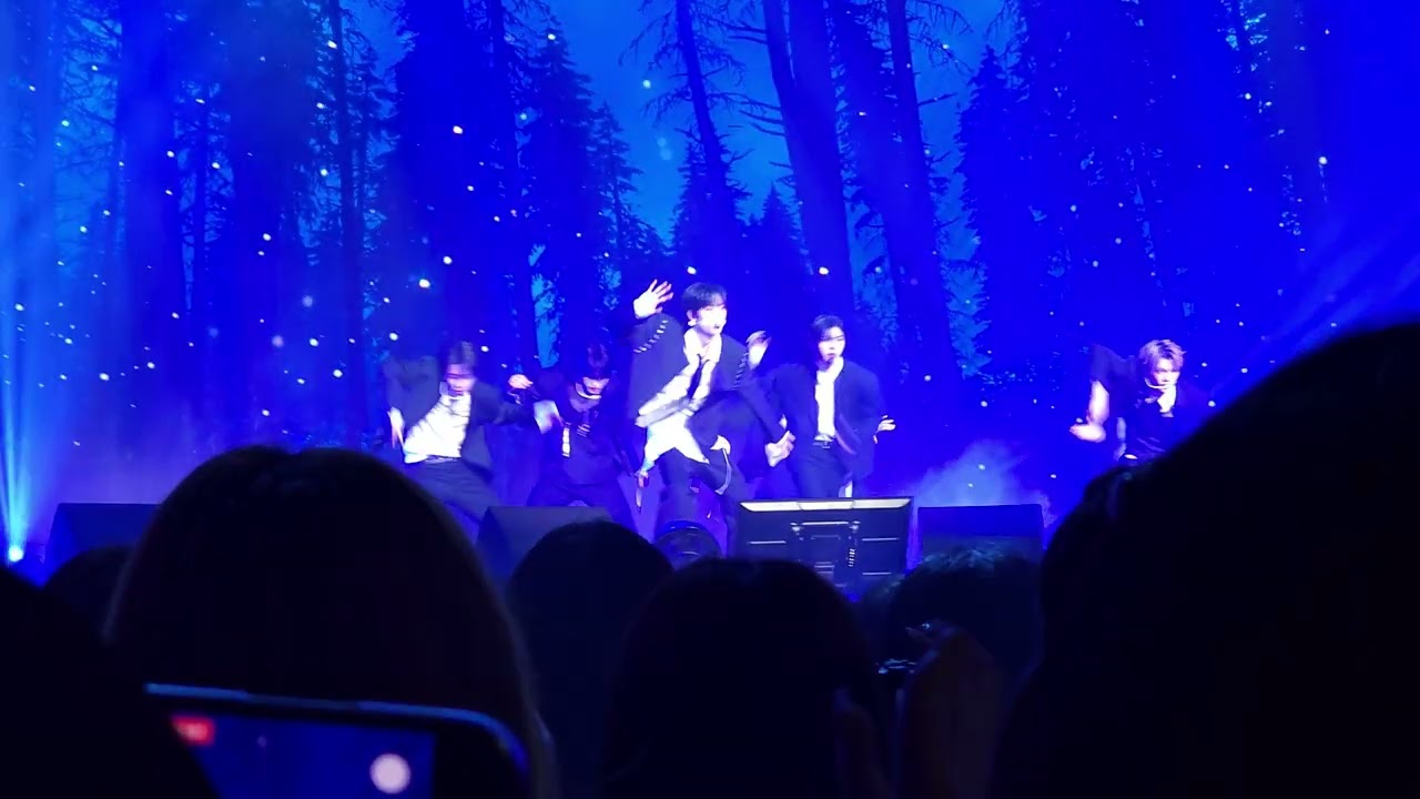 260131 CLOSE YOUR EYES To the Woods