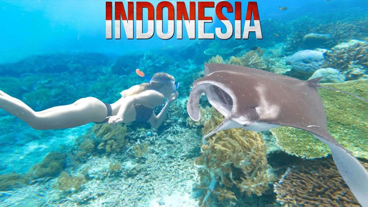 Snorkeling with HUGE Manta Rays Nusa Penida INDONESIA