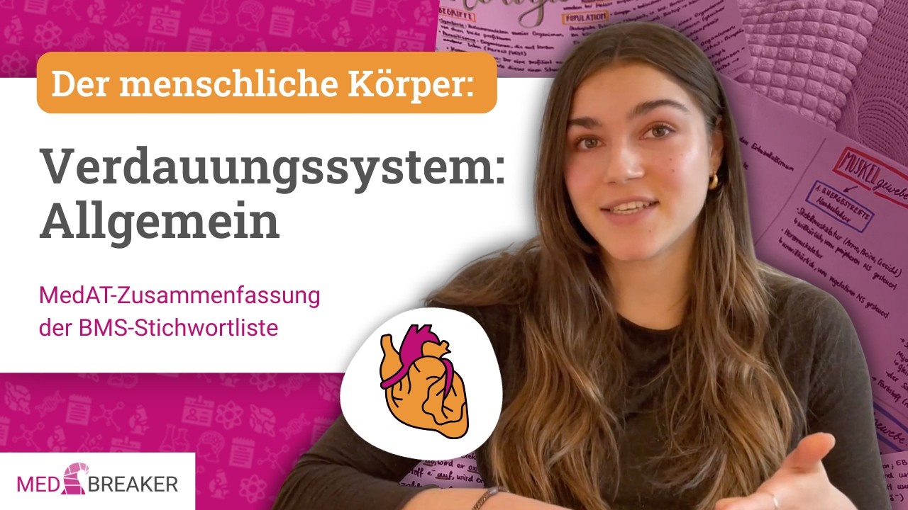Verdauungssystem - Menschlicher Körper | MedAT-Zusammenfassung der BMS-Stichwortliste