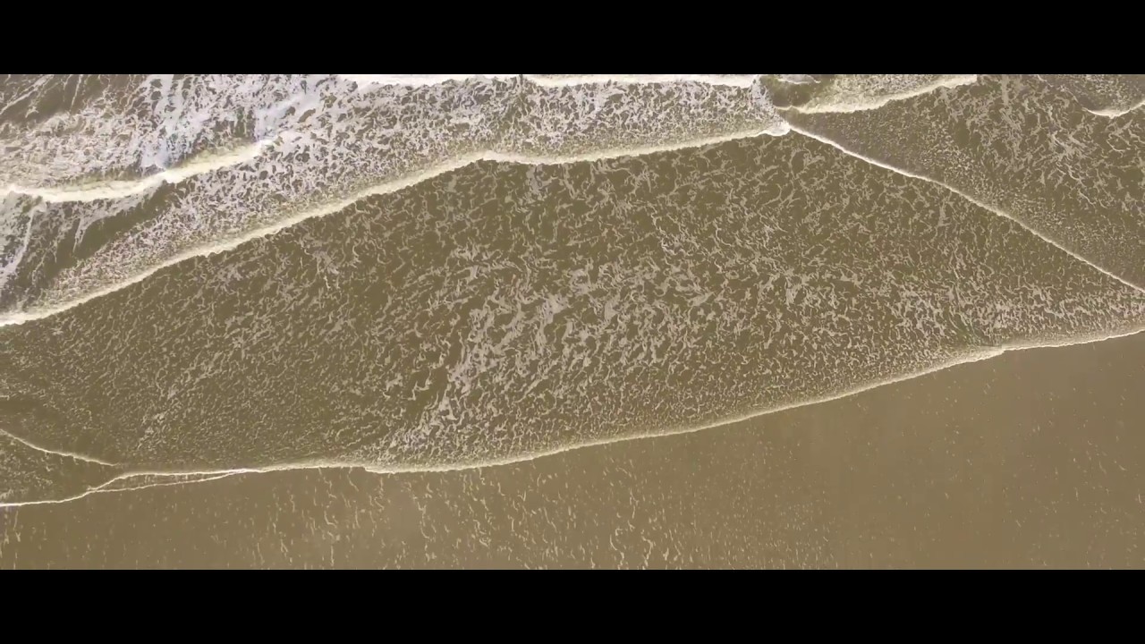 De Wereld van het WAD - Duinen (vo)