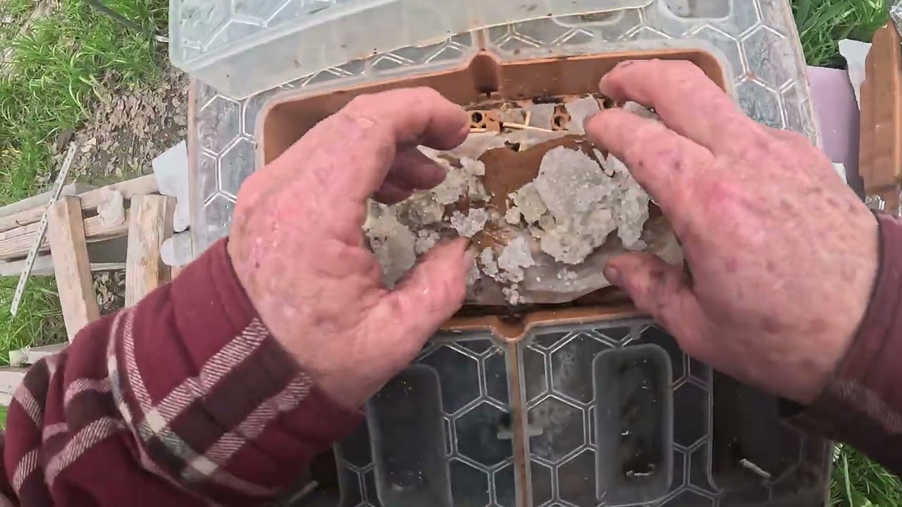 Feb 14 Lil'Hive It's been two Weeks! #honey #beekeeper #beehive #varroa #apimaye #Bee