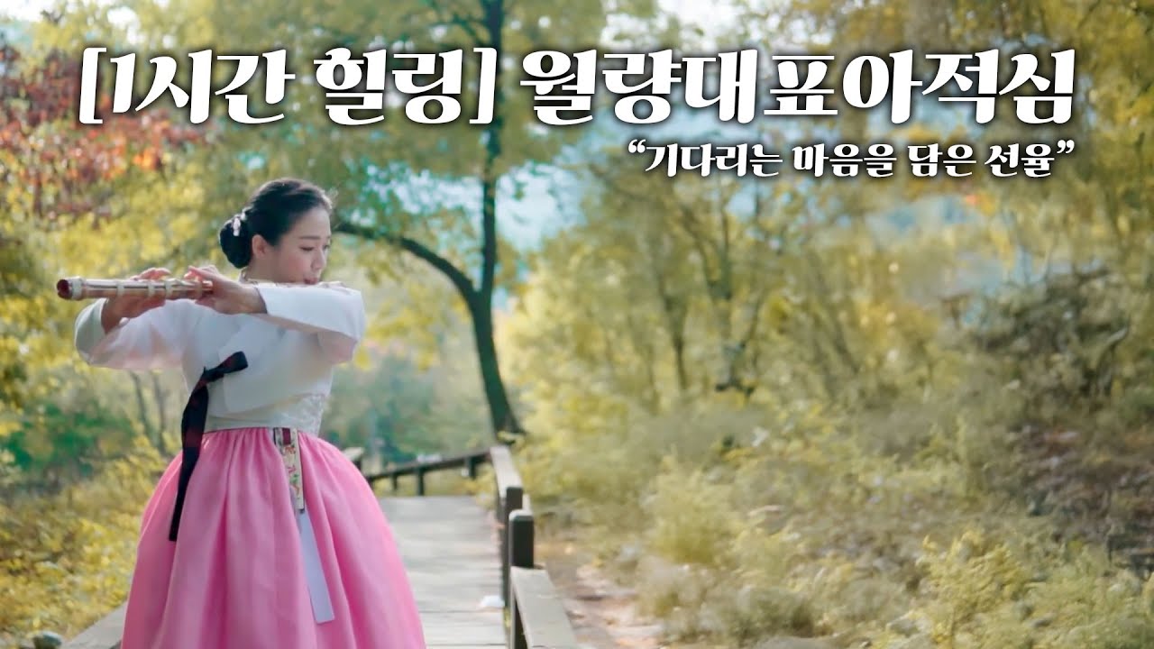 [1시간 힐링] 첨밀밀 OST ‘月亮代表我的心’｜대금이누나의 감성 커버 🎵