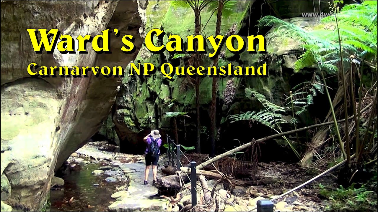 WARDS CANYON 2010