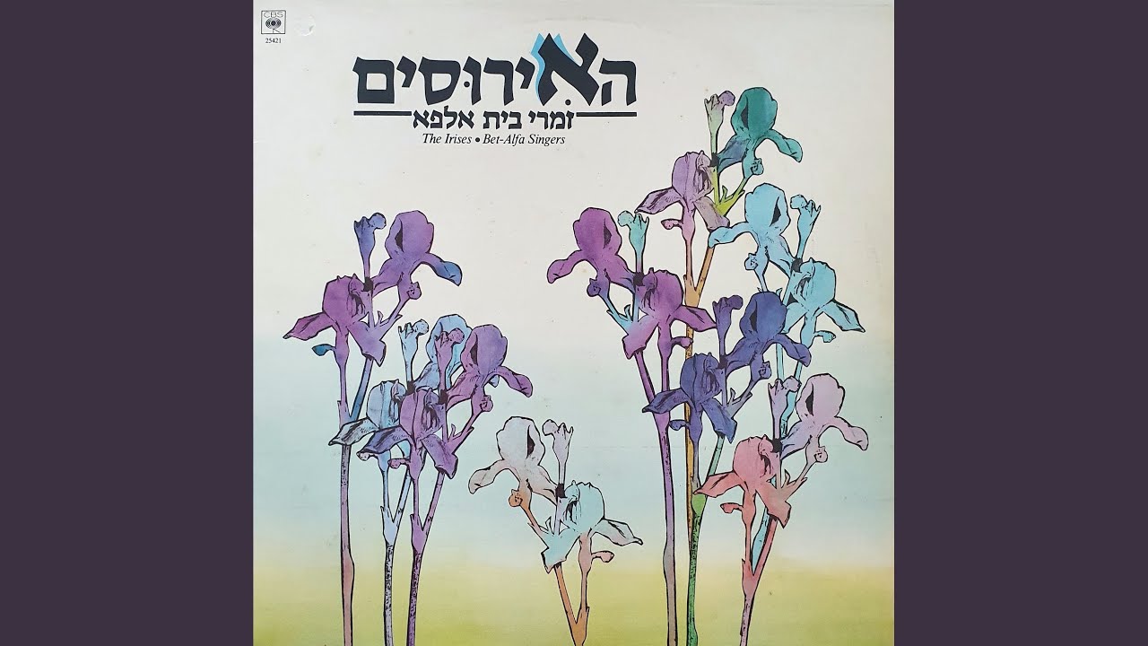שיר לכרם