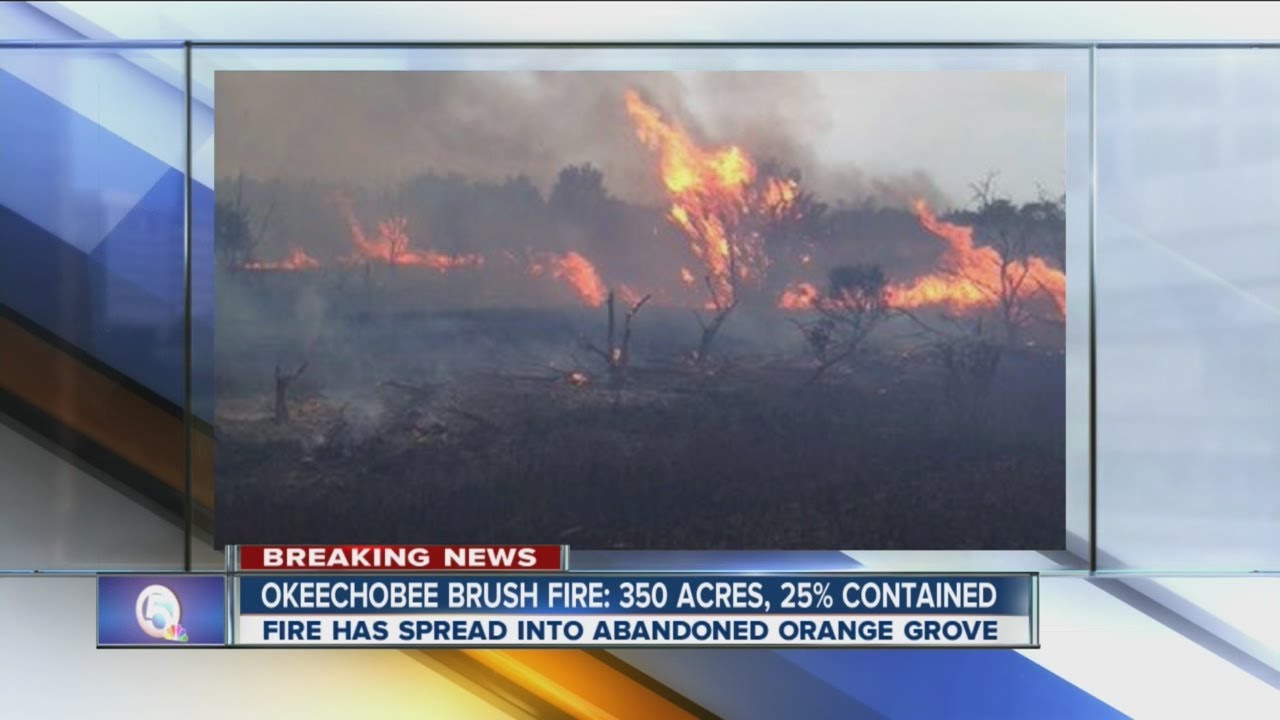 Okeechobee brush fire: 350 acres, 25% contained