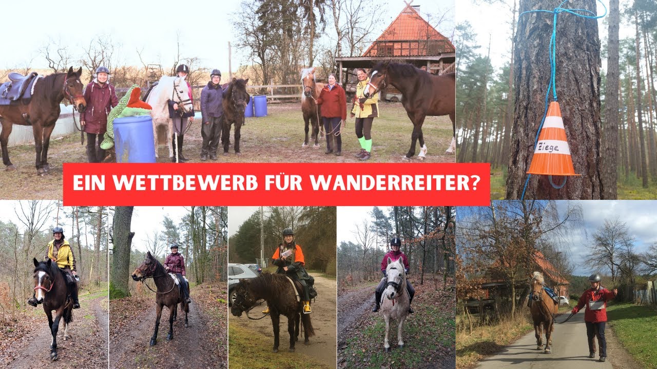 TREC  ein Wettbewerb für Wanderreiter - wir hatten viel Spass! | Wanderreiten