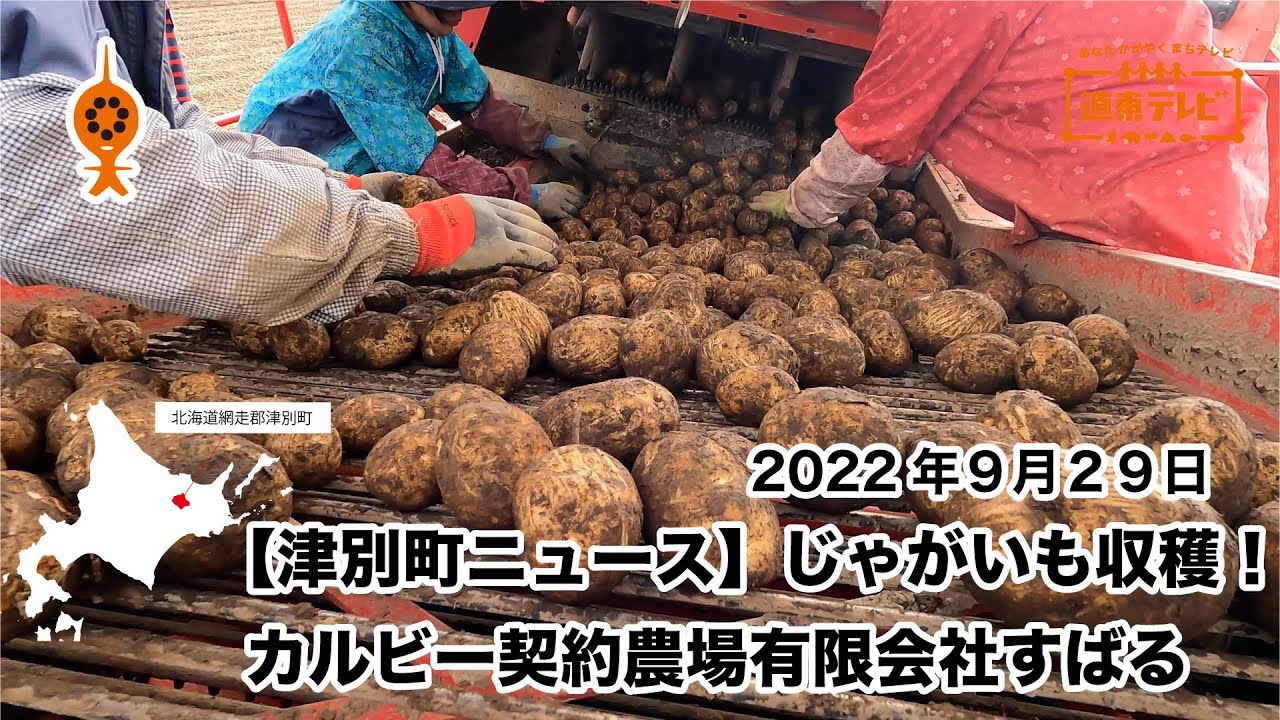 【津別町ニュース】じゃがいも収穫！カルビー契約農場有限会社すばる2022年９月29日