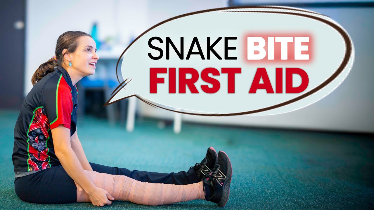 What to do if you're bitten by a snake! Snake Bite First Aid