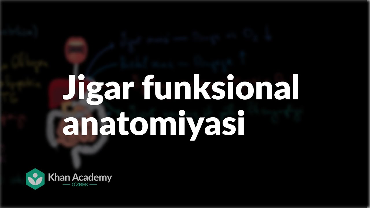 Jigar funksional anatomiyasi | Ovqat hazm qilish tizimi | Tibbiyot