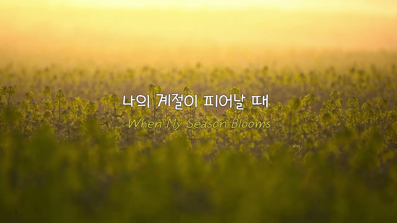 🌿 [넘어질 듯 흔들려도 멈추지 않는 당신에게] 나의 계절이 피어날 때 (When My Season Blooms) | Official Visualizer