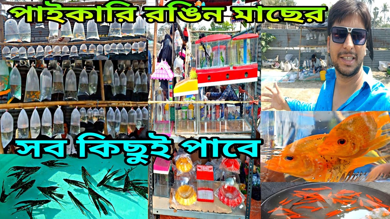 শুক্রবারের অঙ্কুরহাটির হাট | Howrah Ankurhati Pet Market | Aquarium Fish Ankurhati Market | Pet