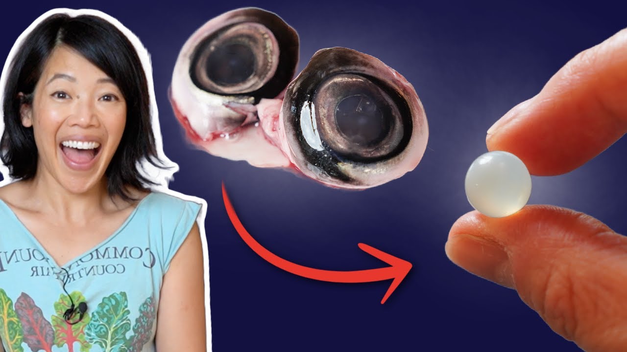 I Made PEARLS From Fish Eyeballs - 16th Century Indian Alchemy