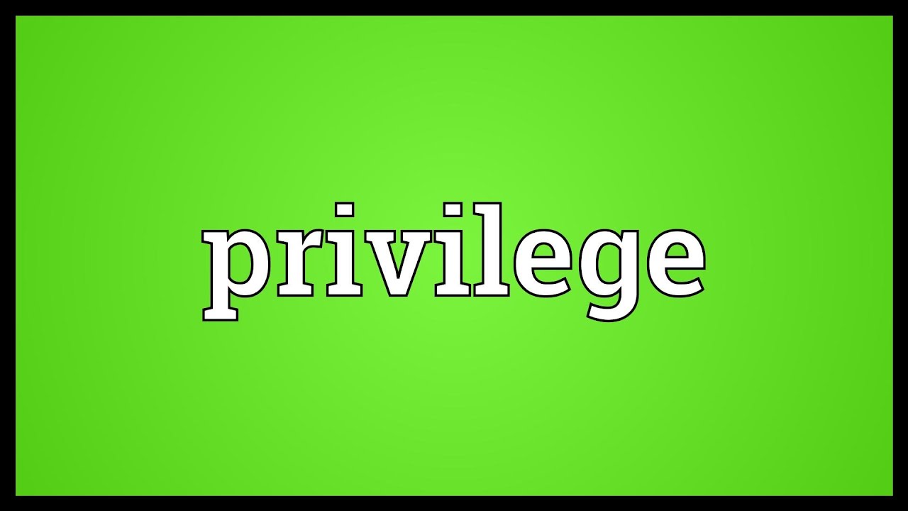 Privilege Meaning