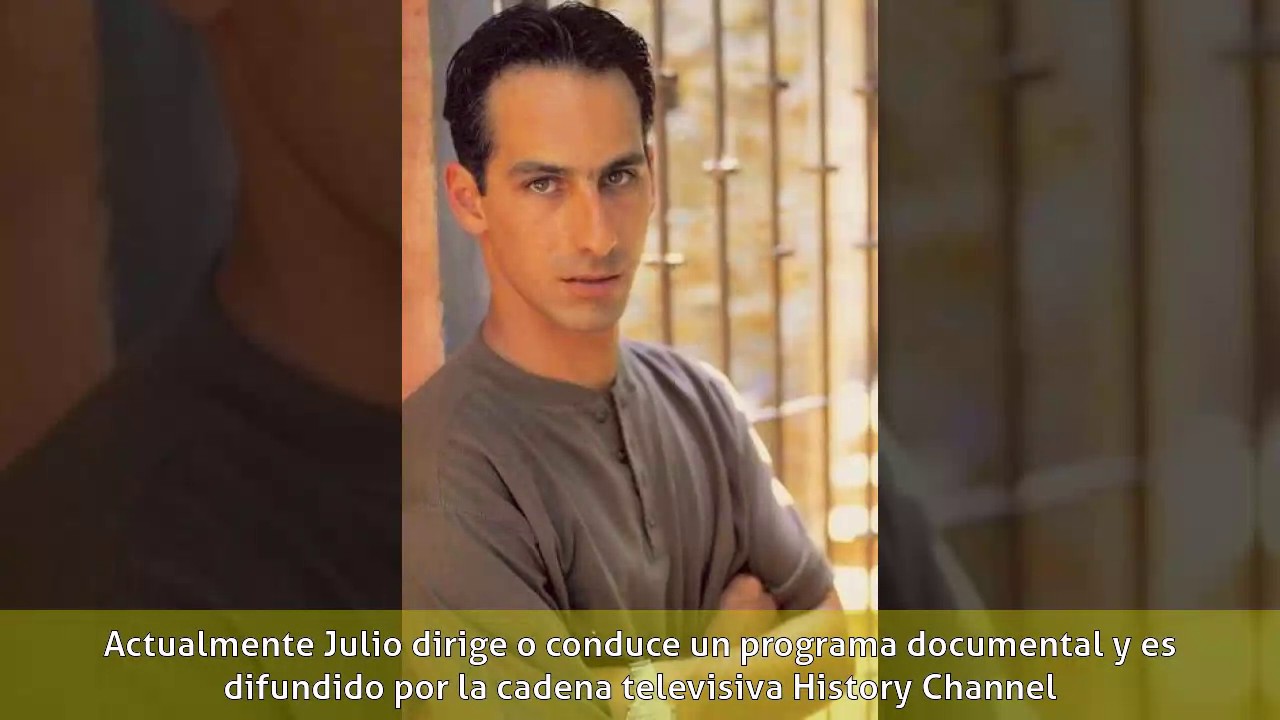 Julio Bracho Castillo - Carrera profesional