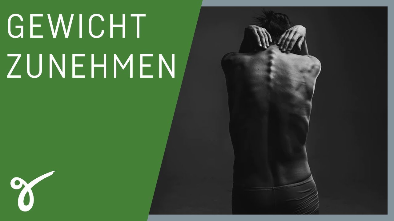 Gewicht zunehmen: Die richtige Ernährung bei Untergewicht | Gerne Gesund mit Doc Steinbach