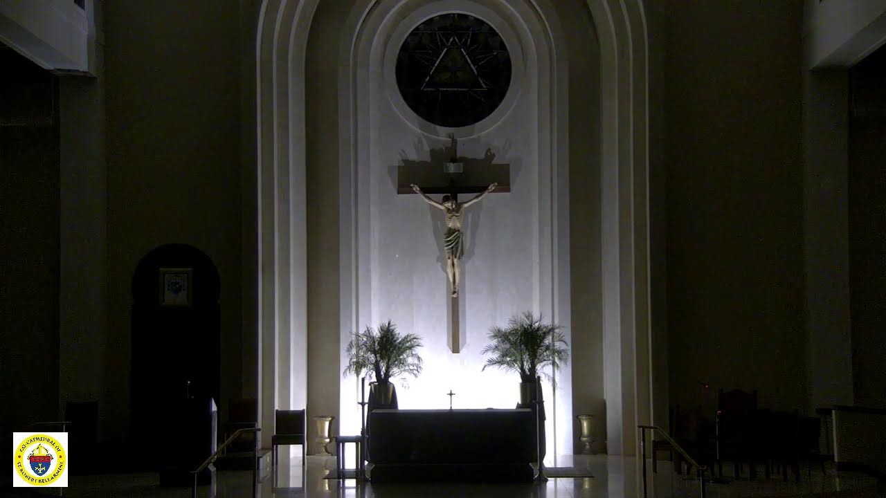 3/12 - Live Sanctuary with the Luminous Mysteries of the Rosary every 20 minutes