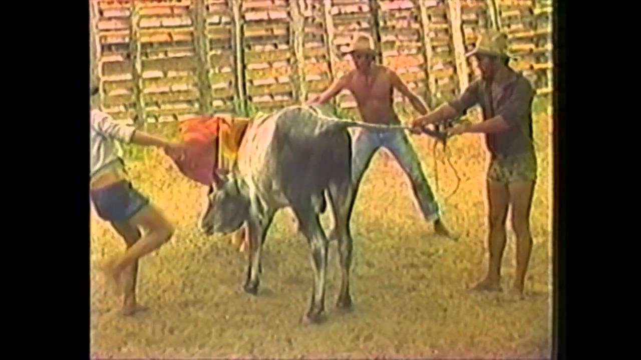 la perica