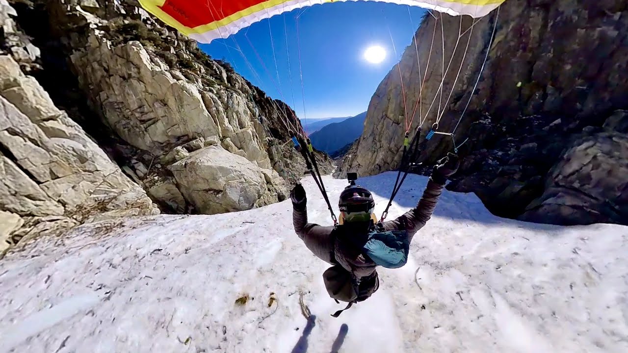 Mega line down wheeler crest